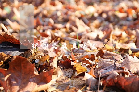 律师走进直播室 律师走进直播室