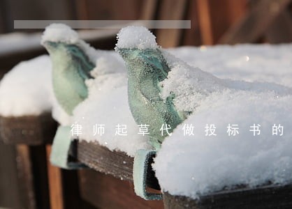 律师起草代做投标书的 律师起草代做投标书的