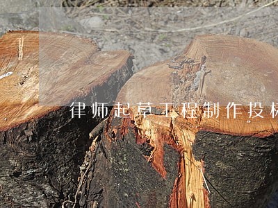 律师起草工程制作投标书 律师起草工程制作投标书