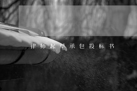 律师起草承包投标书 律师起草承包投标书