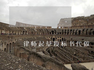 律师起草投标书代做 律师起草投标书代做
