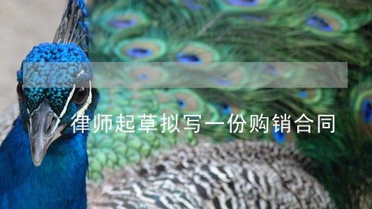 律师起草拟写一份购销合同 律师起草拟写一份购销合同
