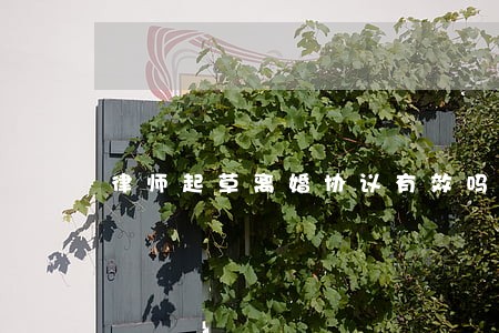 律师起草离婚协议有效吗