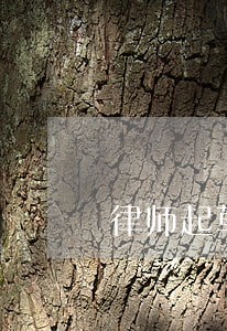 律师起草贷款借贷合同书 律师起草贷款借贷合同书