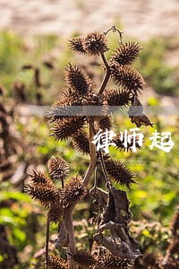 律师起草销售合作协议书范本 律师起草销售合作协议书范本