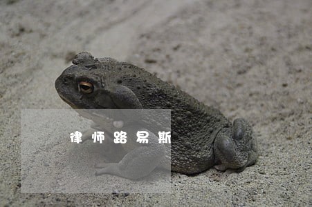 律师路易斯 律师路易斯