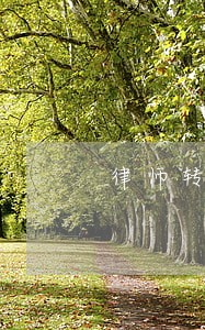 律师转变商人 律师转变商人