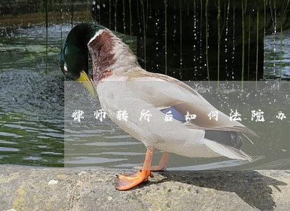 律师转所后如何法院办理原来案件