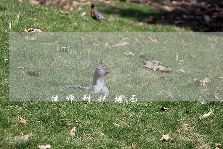 律师辩护场面 律师辩护场面