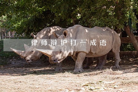 律师辩护打一成语 律师辩护打一成语