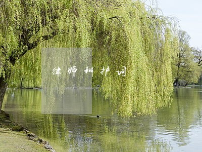 律师辩护词 律师辩护词