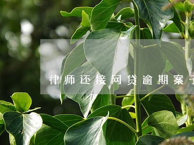 律师还接网贷逾期案子怎么收费 律师还接网贷逾期案子怎么收费
