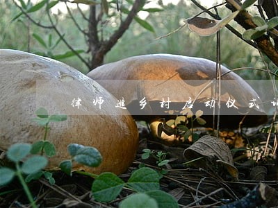 律师进乡村启动仪式讲话稿 律师进乡村启动仪式讲话稿
