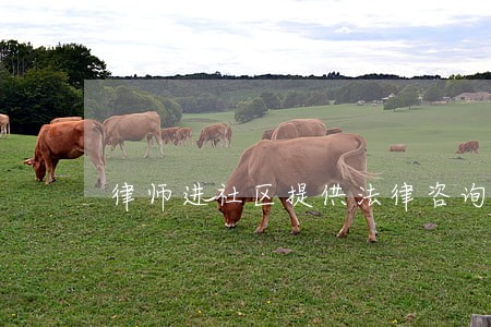 律师进社区提供法律咨询 律师进社区提供法律咨询