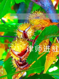 律师进驻法院咨询窗口 律师进驻法院咨询窗口