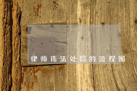 律师违法处罚的流程图 律师违法处罚的流程图