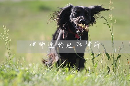 律师违约起诉律所 律师违约起诉律所
