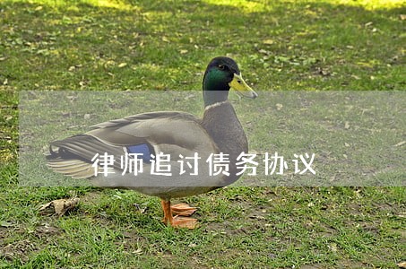 律师追讨债务协议 律师追讨债务协议