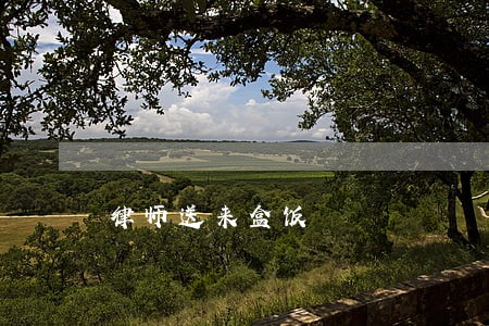 律师送来盒饭 律师送来盒饭