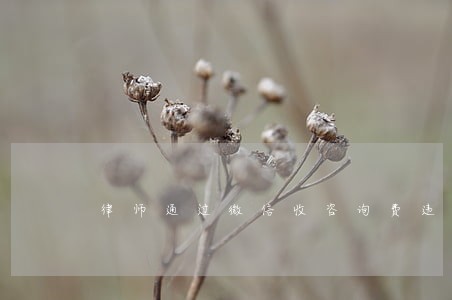 律师通过微信收咨询费违法吗