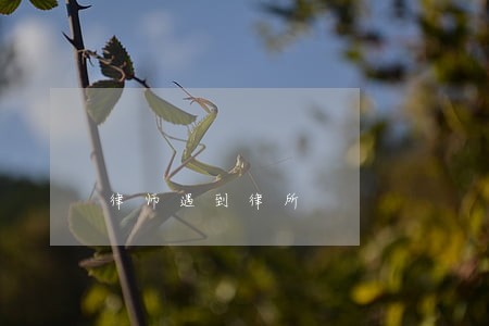 律师遇到律所 律师遇到律所