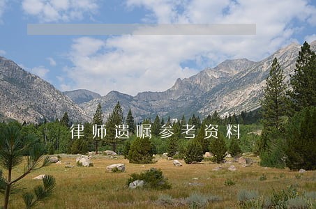 律师遗嘱参考资料 律师遗嘱参考资料