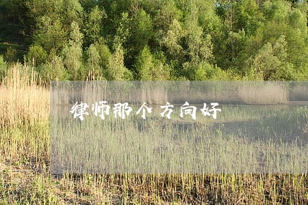 律师那个方向好 律师那个方向好