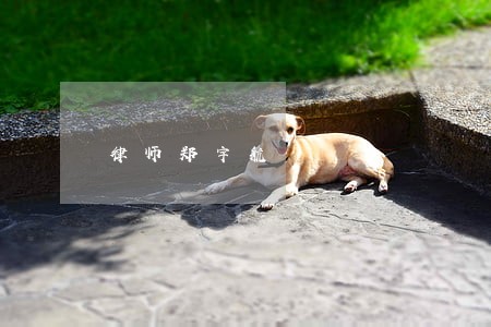 律师郑宇航 律师郑宇航