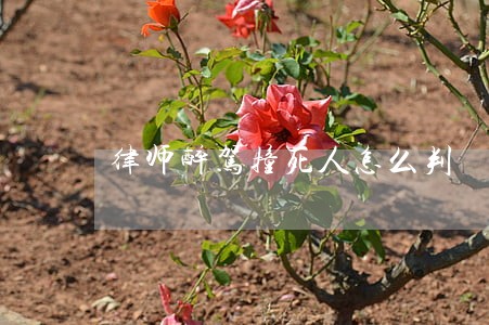律师醉驾撞死人怎么判 律师醉驾撞死人怎么判