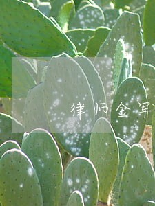 律师金军龙 律师金军龙
