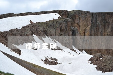 律师金刚 律师金刚