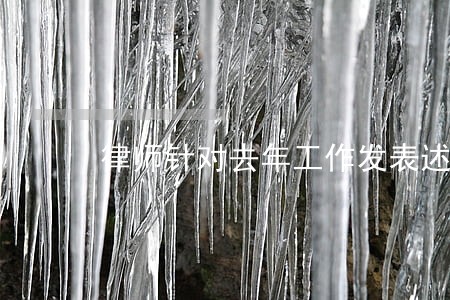 律师针对去年工作发表述职意见 律师针对去年工作发表述职意见
