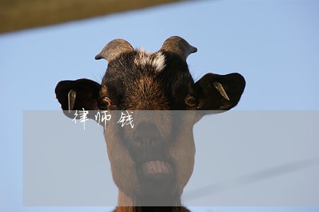 律师钱 律师钱
