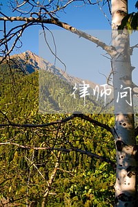 律师问 律师问