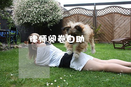 律师阅卷自助 律师阅卷自助
