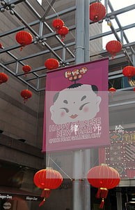 律师险是多少