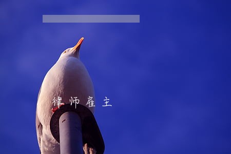 律师雇主 律师雇主