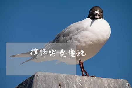 律师需要懂税 律师需要懂税