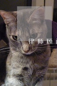 律师顾问事务所评价 律师顾问事务所评价