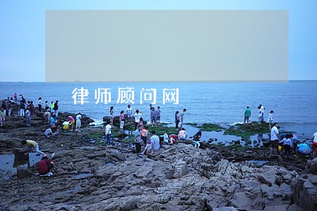 律师顾问网 律师顾问网