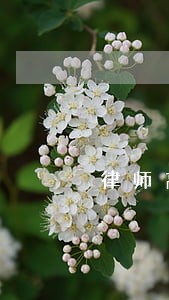 律师高宗超 律师高宗超
