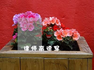 律师高德军 律师高德军