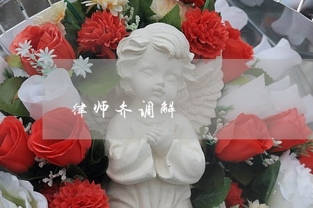 律师齐调解 律师齐调解