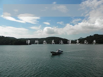 律所出具法律意见书 律所出具法律意见书