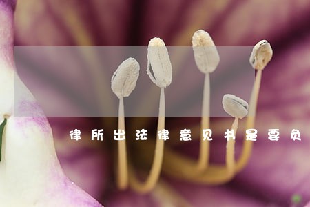 律所出法律意见书是要负责任的