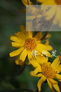 律所发律师袍吗 律所发律师袍吗