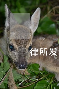 律所发短信告知我网贷逾期开庭 律所发短信告知我网贷逾期开庭