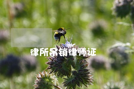 律所吊销律师证 律所吊销律师证