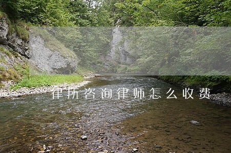 律所咨询律师怎么收费