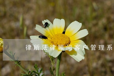 律所法律顾问客户管理系统 律所法律顾问客户管理系统